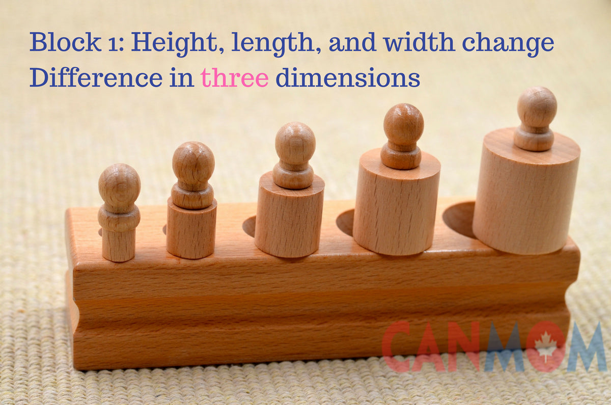 Wooden learning toy / Montessori Knobbed and knobless cylinder block S ...