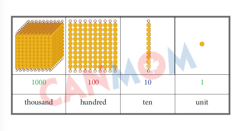 Math place value worksheet / Montessori math worksheet / learn number 1-9000 / pdf math worksheet
