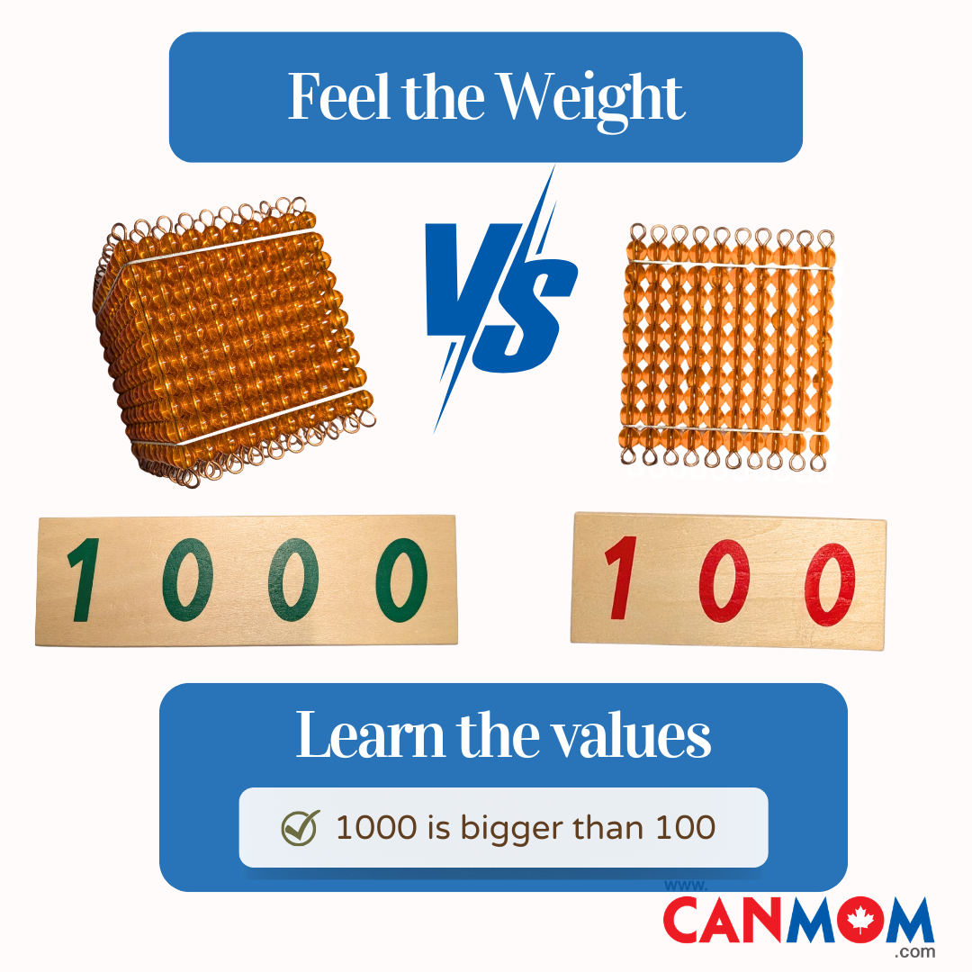 Montessori golden beads/Montessori toy/Montessori Math toy Set/Montessori Math/Kindergarten Math/Homeschool Math/Math Activities