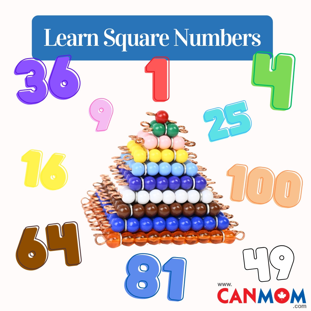 Montessori Bead Squares with Wooden Tiles | Master Square Numbers & Early Algebra Skills