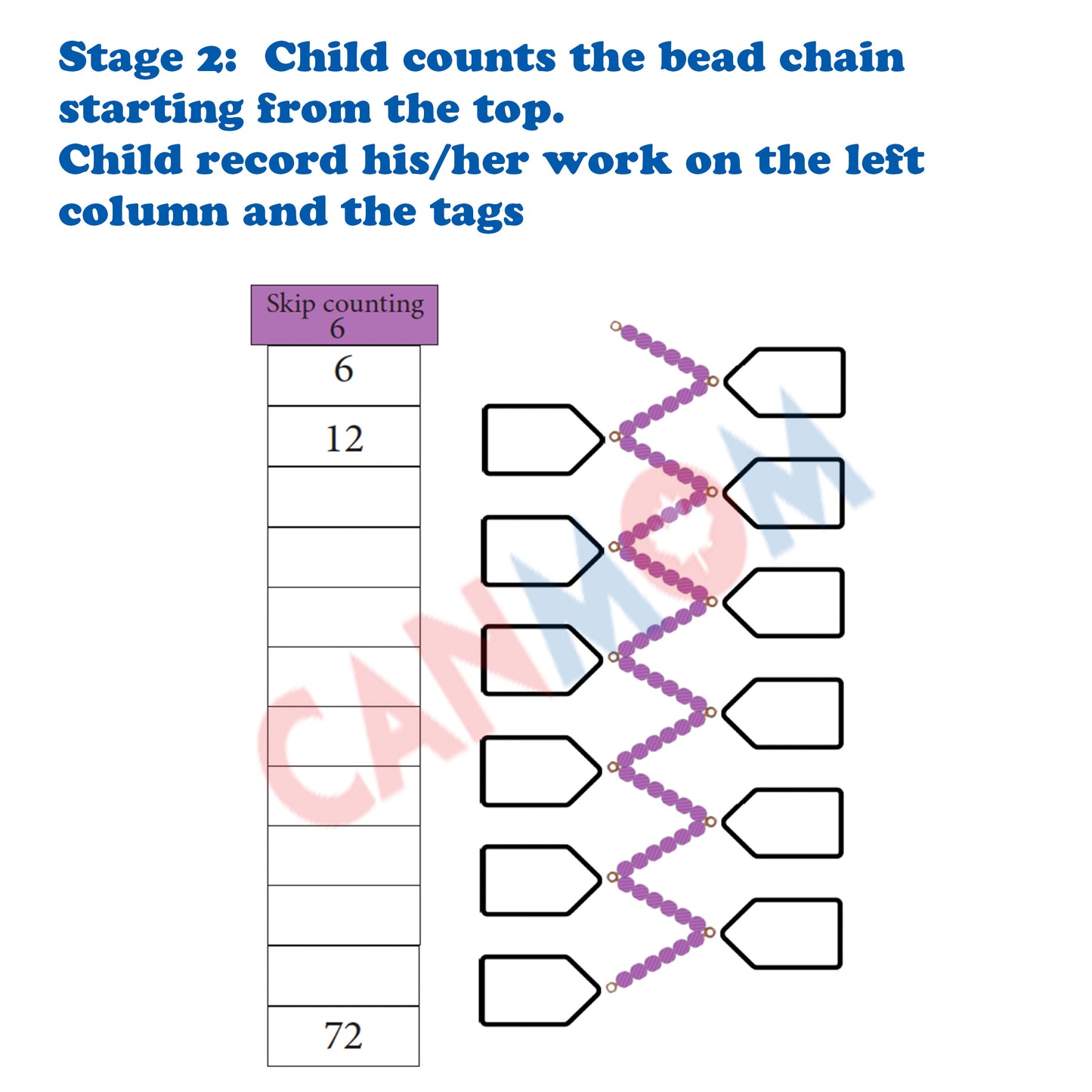 Math skip counting worksheet up to 12 bundle / Montessori math worksheet / multiplication table practice / times table