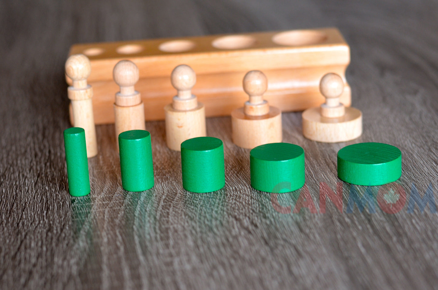 Wooden learning toy / Montessori Knobbed and knobless cylinder block Set / Preschooler learning puzzle / education toy /